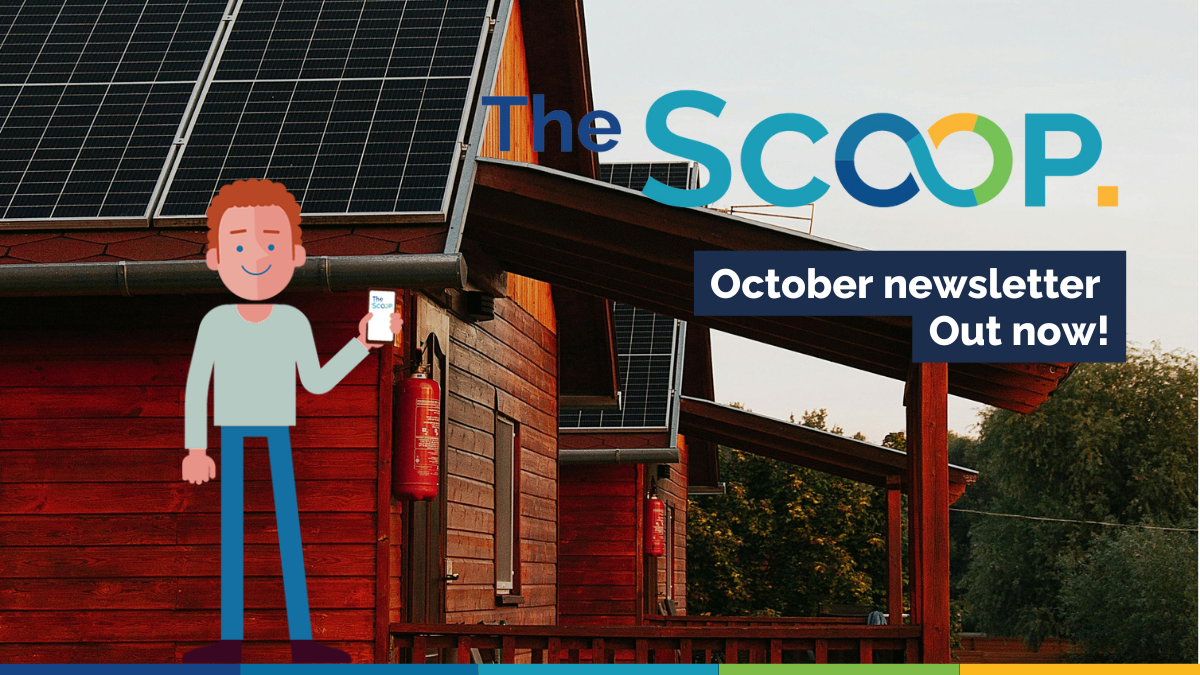 Newsletter horizontal 1