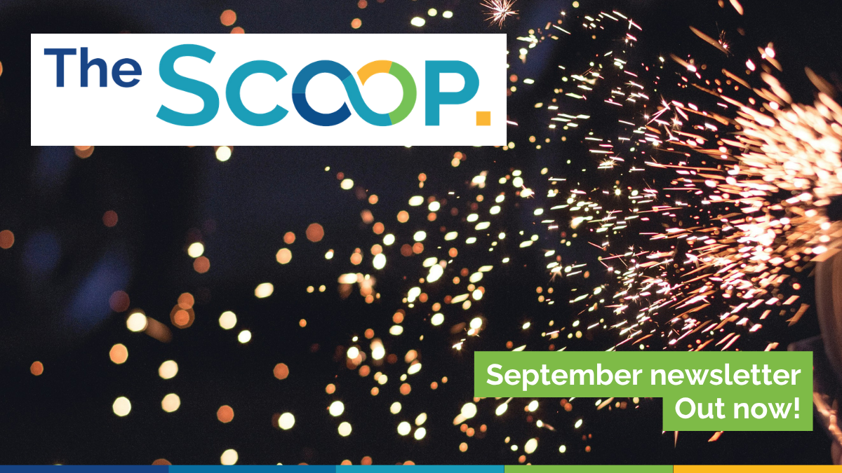 Scoop website thumbnail 11