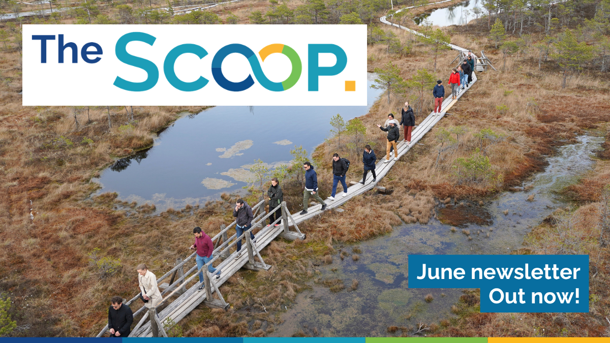 Scoop website thumbnail 4
