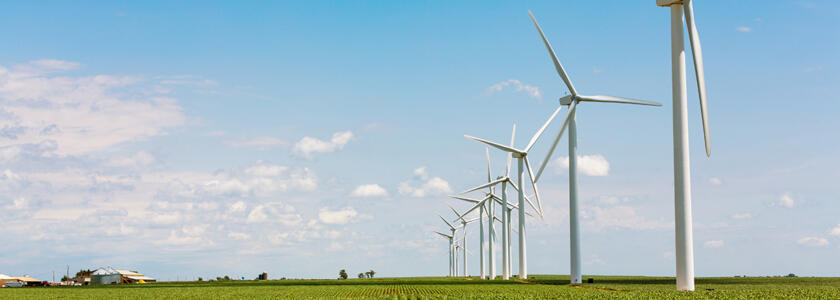 Adobe Stock 168941412 copy