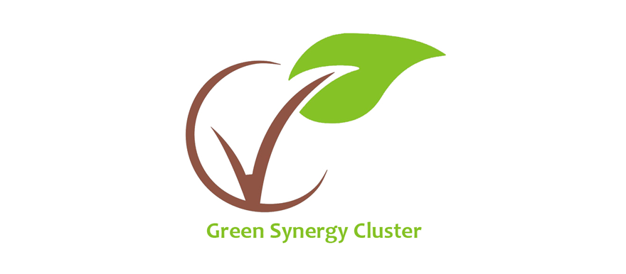 Green Synergy Cluster web